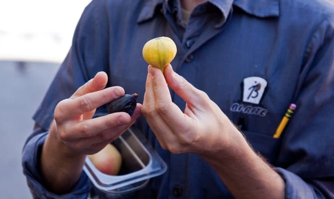 Ana Ramirez. Holding Seasonal Figs at Bi Rite Market. Avital Tours Mission District