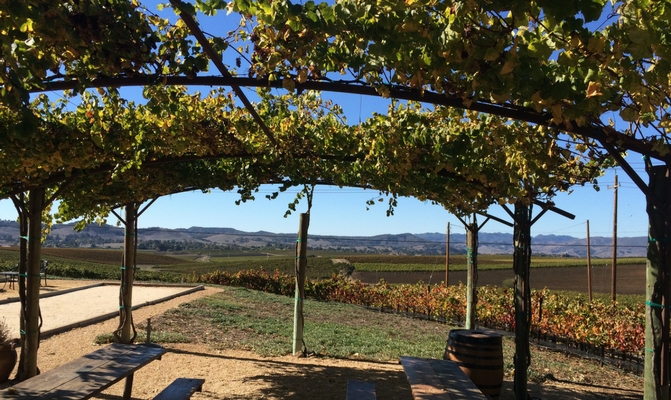 Stop for a picnic at Baileyana winery or a similar picturesque setting