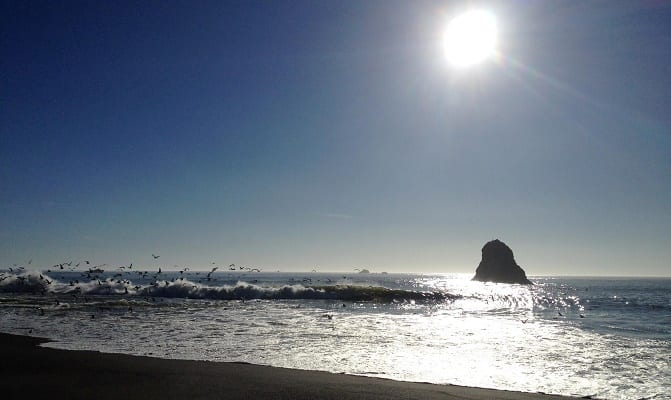 Soak in the beauty of the Pacific Ocean and spend some time at the beach while you're in California!