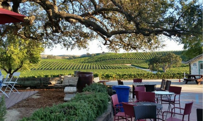 Pomar Junction Vineyards on our Paso Robles Wine Country Tour